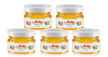 Miód wielokwiatowy mini Darbo 28g x 60 szt