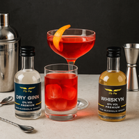 Napój bezalkoholowy Fly Dry GINN Premium 10 x 50ml