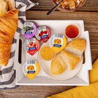 Miód mini wielokwiatowy Stovit 25g x 100 szt