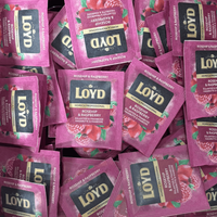 Herbata LOYD Rosehip & Raspberry 2g x 500 szt