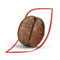 Kawa NESCAFE Classic w saszetkach 2g x 100 szt