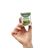 Salysol Pikle Korniszony mini puszka (48x50g)