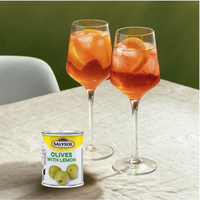 Salysol Oliwki z cytryną puszka (48x50g)