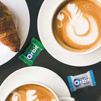 Guma ORBIT Freshmint White 2 drażetki x 100 szt
