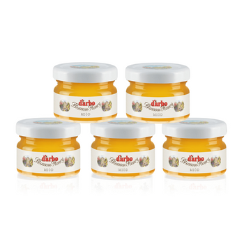 Miód wielokwiatowy mini Darbo 28g x 60 szt